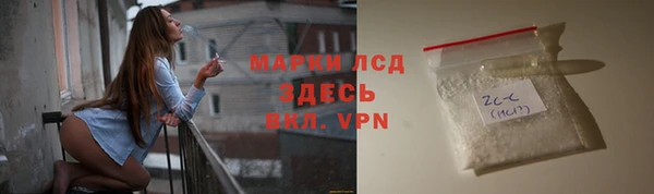 мяу мяу мука Горно-Алтайск