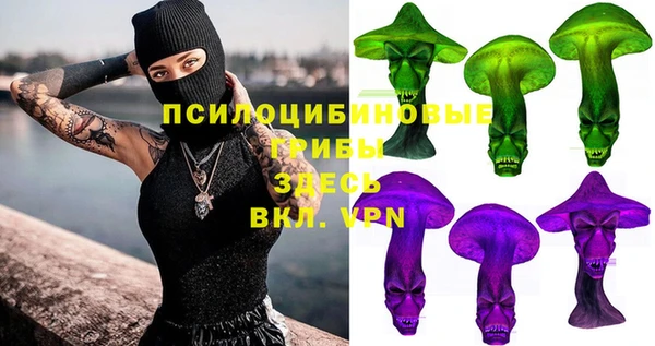 мяу мяу мука Горно-Алтайск